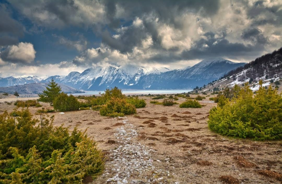 Off-road Point Search – May 1-4, 2025 "Early Bird"